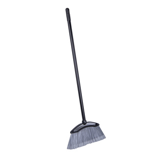 Lobby Dustpan & Brush Professional